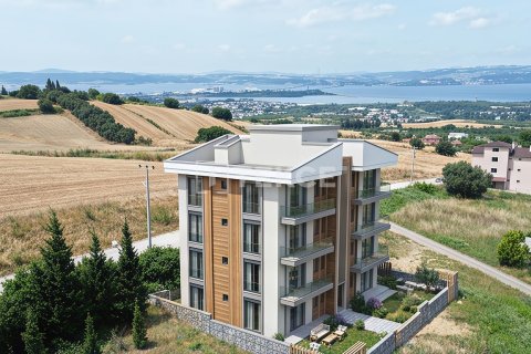 Villa for sale in Altinova, Yalova, Turkey, 15 bedrooms, 850m2, No. 227083 – photo 2