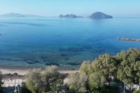 3+1 Villa i Turgutreis, Mugla, Tyrkia Nr. 233172 - 20