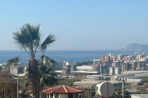 Villa  3+1  Alanya, Antalya, Türkiye №221690 - 8