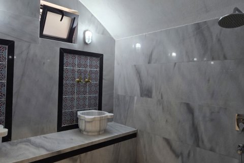 4+1 Villa  i Alanya, Antalya, Turkiet Nr. 221691 - 17