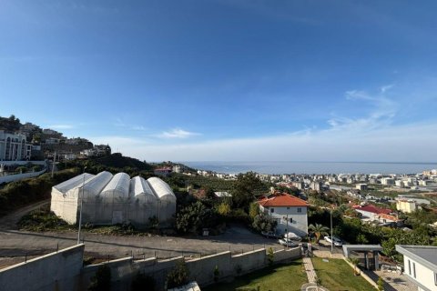Lägenhet  i Kargicak, Alanya, Antalya, Turkiet Nr. 213161 - 20