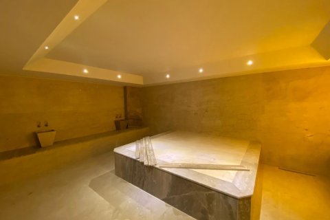 1+0 Leilighet  i Alanya, Antalya, Tyrkia Nr. 225073 - 15