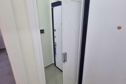 1+0 Wohnung in Mahmutlar, Antalya, Türkei Nr. 225076 - 12