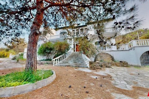 زمین در Dogankoy، Girne ، ترکیه 7632 متر مربع. شماره 227604 - 4