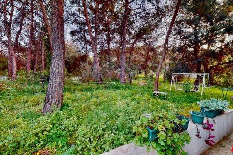 زمین در Dogankoy، Girne ، ترکیه 7632 متر مربع. شماره 227604 - 3