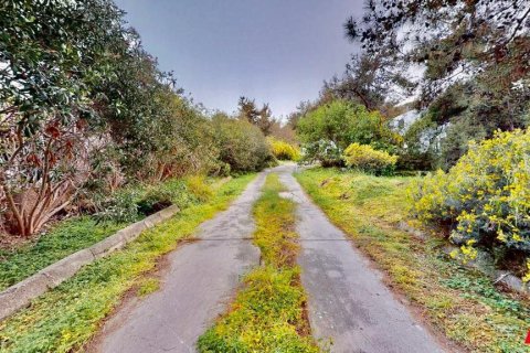 زمین در Dogankoy، Girne ، ترکیه 7632 متر مربع. شماره 227604 - 7