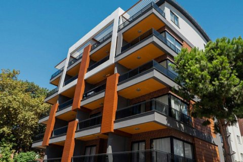 Квартира  1+1 в Аланье, Анталья, Турция №232062