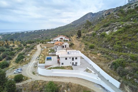 Продажа виллы  в Беллапаисе, Гирне, Северный Кипр 6+3, 320м2, №214363 – фото 3