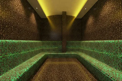 2+1 Lägenhet  i Mahmutlar, Antalya, Turkiet Nr. 219537 - 21