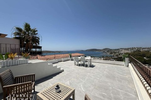 1+1 Wohnung in Gumbet, Bodrum, Mugla, Türkei Nr. 233032 - 20