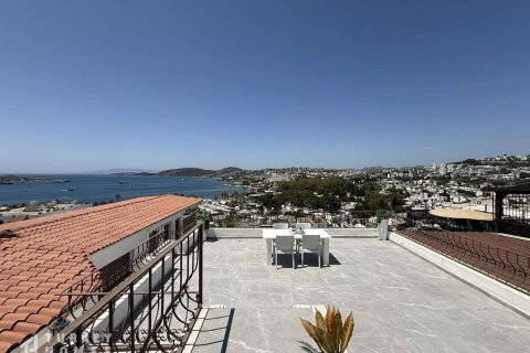 1+1 Wohnung in Gumbet, Bodrum, Mugla, Türkei Nr. 233032 - 21