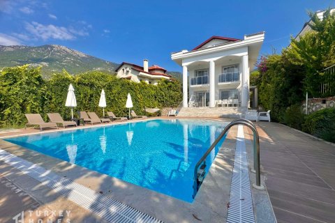Villa  4+1  Ovacık, Muğla, Türkiye №233037 - 2