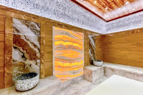 1+1 Wohnung  in Oba, Antalya, Türkei Nr. 218904 - 13