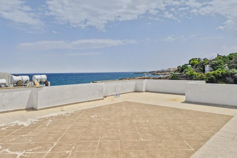 Leilighet  i Girne,  Nr. 237630 - 17