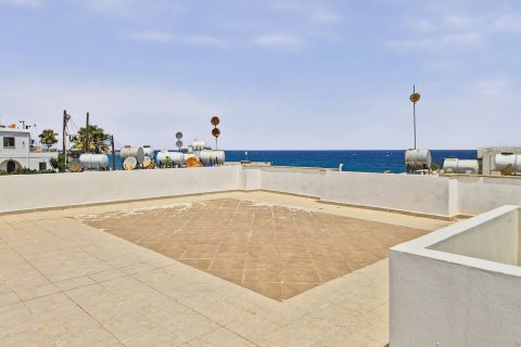 Leilighet  i Girne,  Nr. 237630 - 16