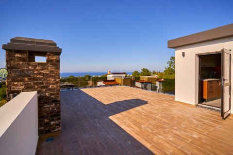 Продажа виллы  в Караогланоглу, Гирне, Северный Кипр 4+1, 400м2, №214023 – фото 4