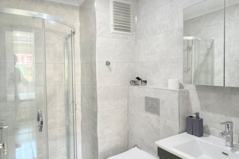 2+0 Lägenhet i Mahmutlar, Antalya, Turkiet Nr. 228624 - 15