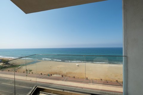 3+1 Wohnung  in Oba, Antalya, Türkei Nr. 227669 - 9