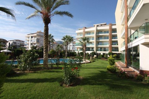 3+1 Penthouse i Oba, Antalya, Tyrkiet Nr. 229102 - 7