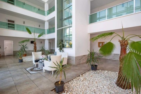 3+1 Penthouse  i Kestel, Antalya, Tyrkiet Nr. 229105 - 10