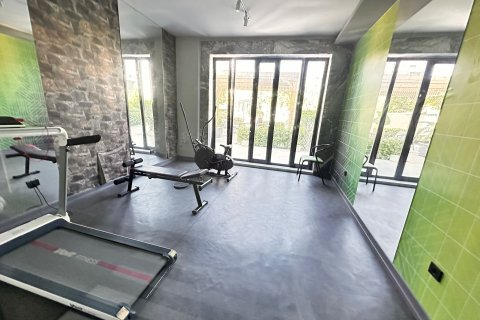 آپارتمان در  Kestel ، ترکیه 2 خوابه ، 170 متر مربع.  شماره 219373 - 23