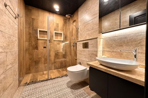 آپارتمان در  Kestel ، ترکیه 2 خوابه ، 170 متر مربع.  شماره 219373 - 14