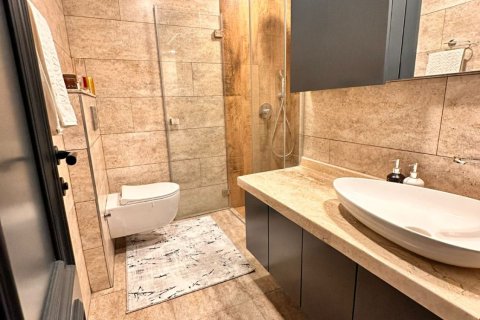 آپارتمان در  Kestel ، ترکیه 2 خوابه ، 170 متر مربع.  شماره 219373 - 15