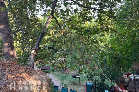 Tömma i Dalyan, Mugla, Turkiet Nr. 233497 - 9