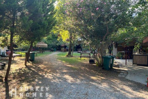 Tömma i Dalyan, Mugla, Turkiet Nr. 233497 - 11
