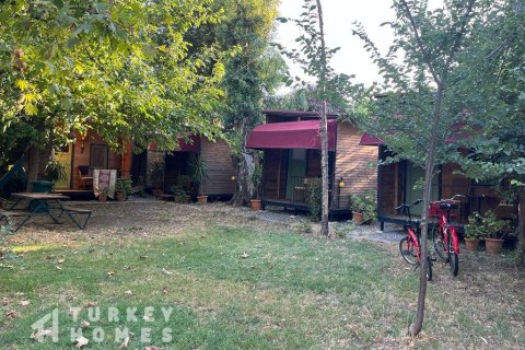 Tömma i Dalyan, Mugla, Turkiet Nr. 233497 - 14