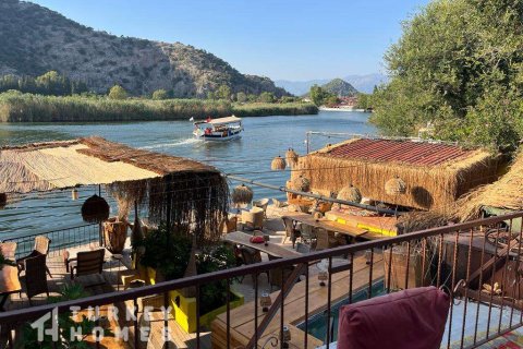 Tömma i Dalyan, Mugla, Turkiet Nr. 233497 - 2