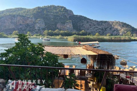 Tömma i Dalyan, Mugla, Turkiet Nr. 233497 - 1