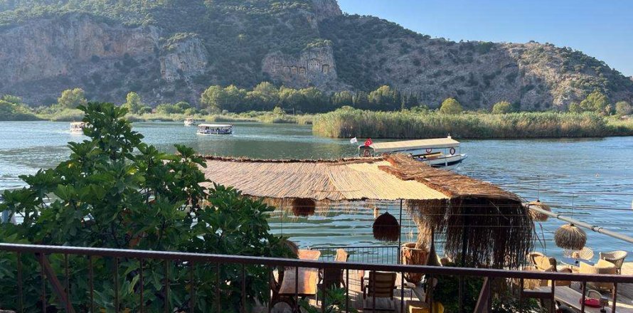 Tömma i Dalyan, Mugla, Turkiet Nr. 233497