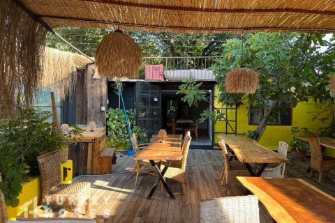 Tömma i Dalyan, Mugla, Turkiet Nr. 233497 - 5