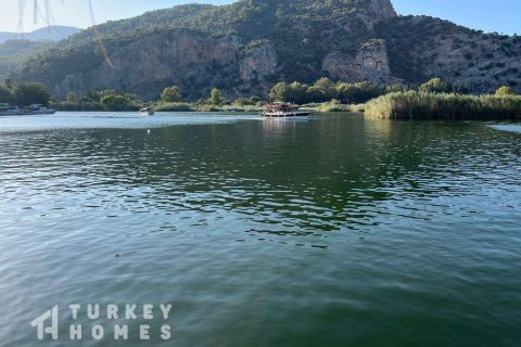 Tömma i Dalyan, Mugla, Turkiet Nr. 233497 - 3