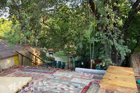 Tömma i Dalyan, Mugla, Turkiet Nr. 233497 - 10