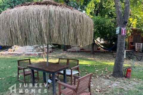Tömma i Dalyan, Mugla, Turkiet Nr. 233497 - 4