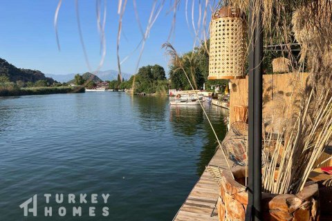 Tömma i Dalyan, Mugla, Turkiet Nr. 233497 - 13
