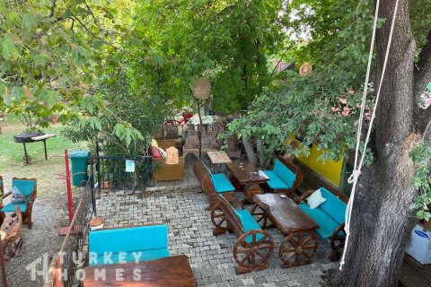 Tömma i Dalyan, Mugla, Turkiet Nr. 233497 - 8