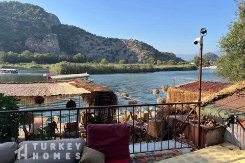 Tömma i Dalyan, Mugla, Turkiet Nr. 233497 - 15