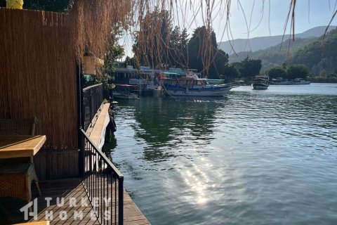 Tömma i Dalyan, Mugla, Turkiet Nr. 233497 - 12