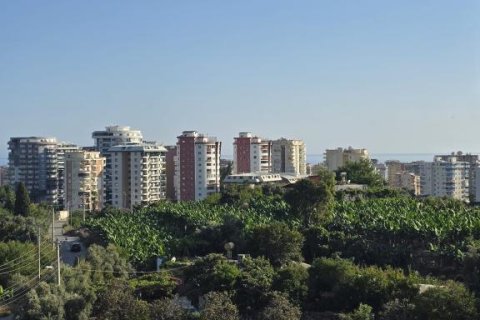 آپارتمان در  Mahmutlar ، ترکیه 44 متر مربع.  شماره 216083 - 11