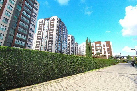 1+1 Leilighet  i Beylikduezue, Istanbul, Tyrkia Nr. 215449 - 12