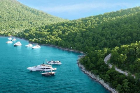 Villa  4+1  Türkbükü, Muğla, Türkiye №234234 - 12