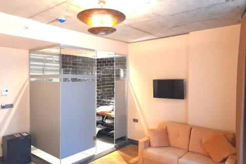 Продажа коммерческой недвижимости  в Стамбуле, Турция, 200м2, №222680 – фото 8