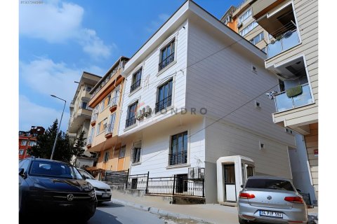 1+1 Apartment  in Beyoglu, Istanbul, Turkey No. 221862