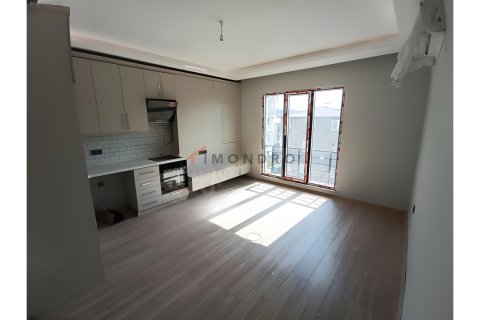 Apartment for sale  in Beyoglu, Istanbul, Turkey, 1 bedroom, 55m2, No. 221862 – photo 8