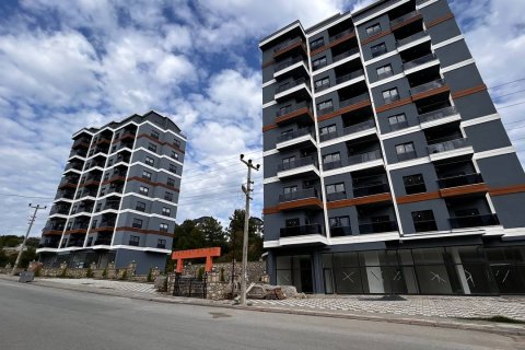 1+1 Lejlighed  i Avsallar, Antalya, Tyrkiet Nr. 213136 - 5