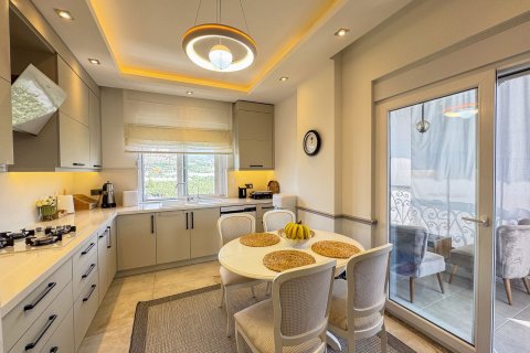 4+1 Lägenhet  i Alanya, Antalya, Turkiet Nr. 217822 - 5