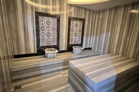 6+1 Villa  i Alanya, Antalya, Turkiet Nr. 217722 - 19